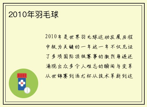 2010年羽毛球