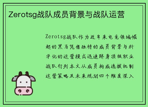 Zerotsg战队成员背景与战队运营