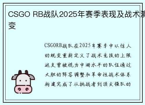 CSGO RB战队2025年赛季表现及战术演变