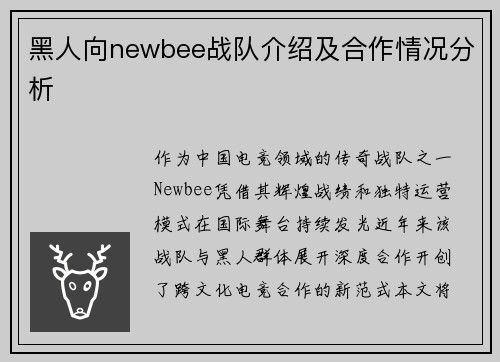 黑人向newbee战队介绍及合作情况分析